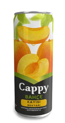 Picture of Cappy Garden Apricot Juice 250 ml