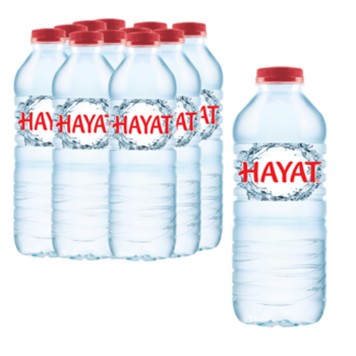 Picture of Hayat Water 12 x 500ml
