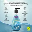 Picture of Duru Organic Content Ocean Fresh Liquid Soap 500Ml