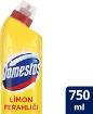 Picture of Domestos Bleach Intensive Formula Lemon Freshness Long-Term Hygiene 750 ml