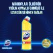 Picture of Domestos Bleach Intensive Formula Lemon Freshness Long-Term Hygiene 750 ml