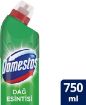 Picture of Domestos Intense Thick Bleach Mountain Breeze 750 ml