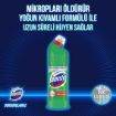 Picture of Domestos Intense Thick Bleach Mountain Breeze 750 ml
