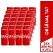 Picture of Coca Cola 250 ml Box 24 Pack