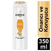 Picture of Pantene Repair & Protect 3-in-1 Shampoo 350 ml