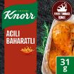 Picture of Knorr Baked Chicken Seasoning Hot Spicy 31 G