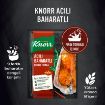 Picture of Knorr Baked Chicken Seasoning Hot Spicy 31 G