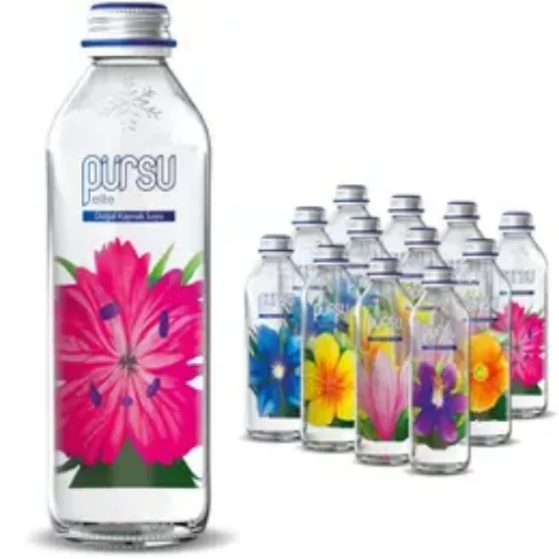 Picture of One Random Pursu Elite Natural Spring Water 330 ml