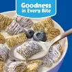 Picture of Kelloggs Blueberry Wheats 500 G