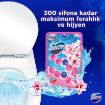 Picture of Domestos Toilet Block Magnolia Freshness 2 x 50g