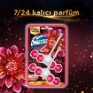 Picture of Domestos Toilet Block Lux Starflower & Dragon Fruit 2 x 50g