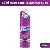 Picture of Domestos 2.0 Dual Action Odor-Free Bleach 750 ml