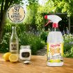 Picture of Asperox Retro Series White Vinegar and Lemon Salt 1000 ml